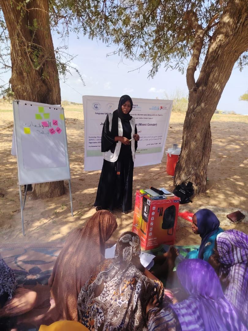 Flip-chart discussion during a field training